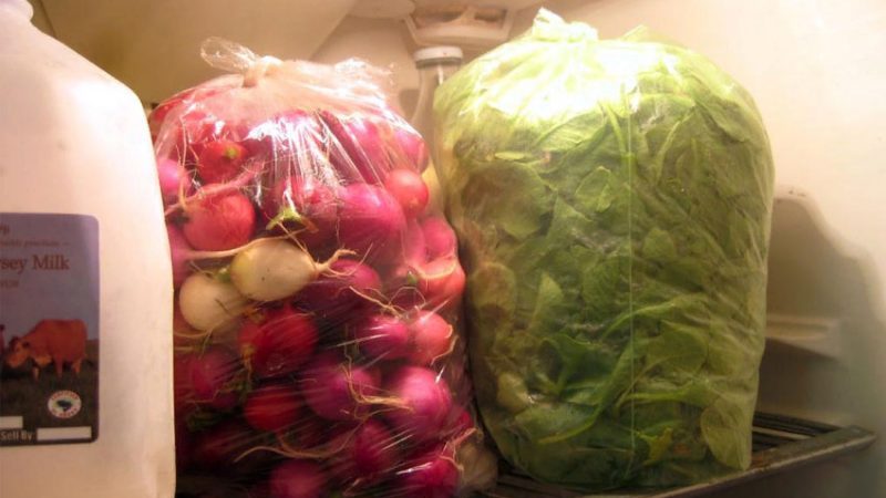 Fresh radishes all winter: how to keep at home