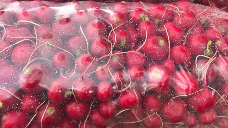 Fresh radishes all winter: how to keep at home