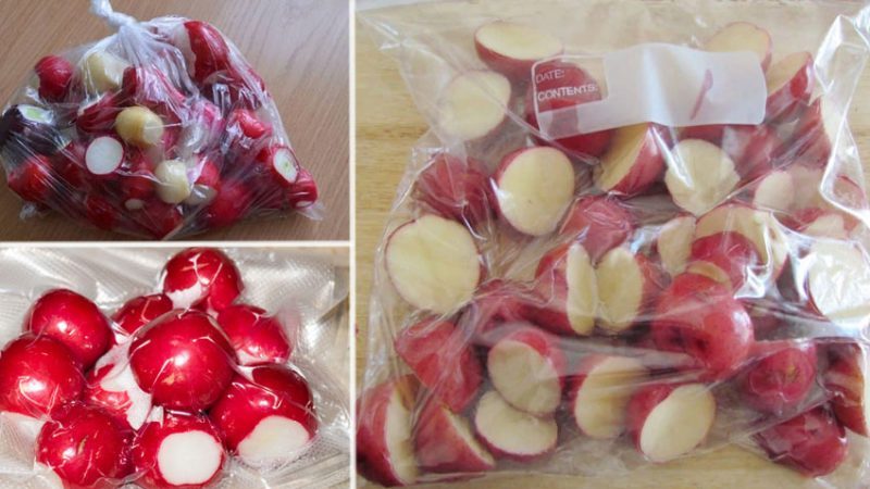 Fresh radishes all winter: how to keep at home