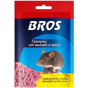 How to get rid of mice and rats that gnaw potatoes in the cellar