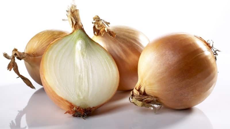 How to eat onions correctly: daily consumption rates, benefits and harms, contraindications