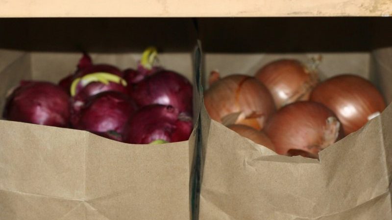 How to store onions correctly: at what temperature and in what conditions