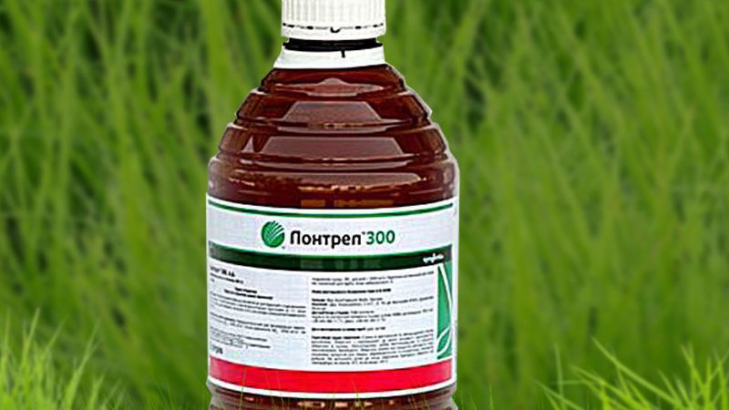 How to choose the right herbicide for corn and process: a review of the best products