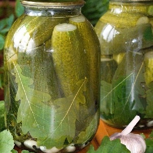 How to properly prepare pickled cucumbers without sterilization for the winter