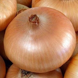 What types of onions are, their characteristics, and which variety is best suited for long-term storage