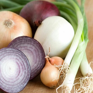 What types of onions are, their characteristics, and which variety is best suited for long-term storage