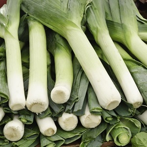 What types of onions are, their characteristics, and which variety is best suited for long-term storage