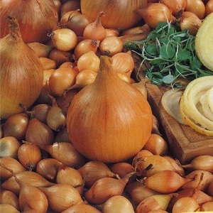 What types of onions are, their characteristics, and which variety is best suited for long-term storage