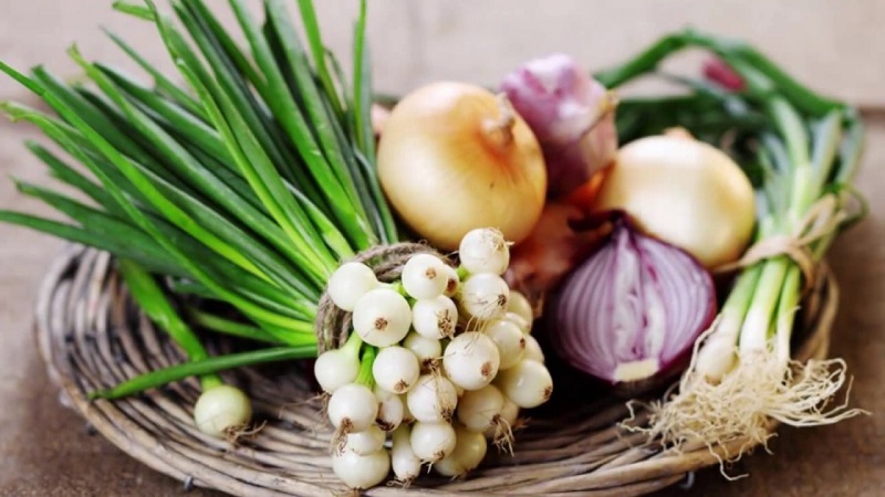 What types of onions are, their characteristics, and which variety is best suited for long-term storage