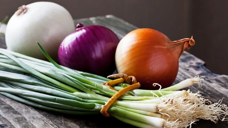 What types of onions are, their characteristics, and which variety is best suited for long-term storage