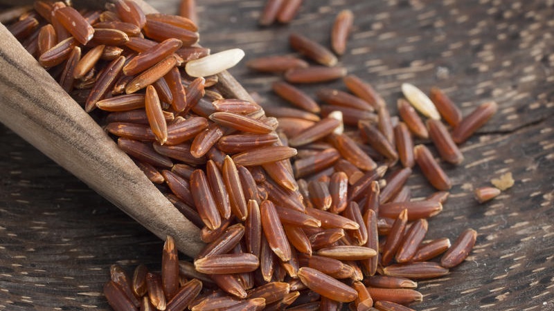 What are the types of rice and what are their features