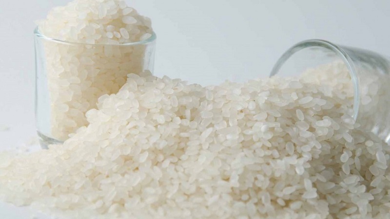 What are the types of rice and what are their features