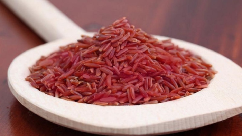 What are the types of rice and what are their features