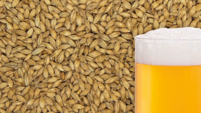 What cereals are made from barley and the beneficial properties of cereals