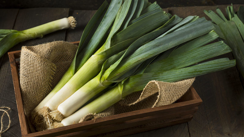 What part of leek is eaten and how to cook it properly