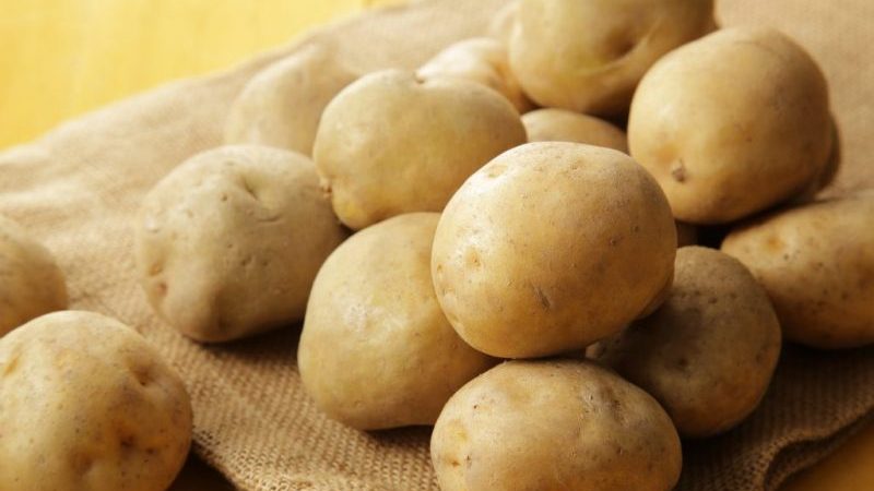 Medium early Lilly potato variety with high yield