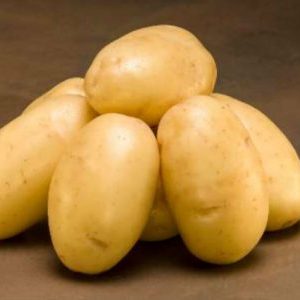 A medium late table Ragneda potato that adapts to any soil