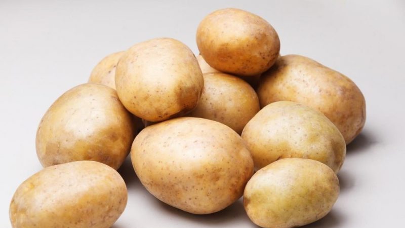 A medium late table Ragneda potato that adapts to any soil
