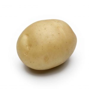 Unpretentious potato variety that keeps well: Sifra