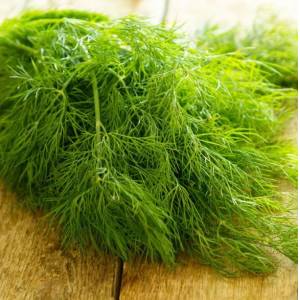 The best recipes for preparing dill for the winter