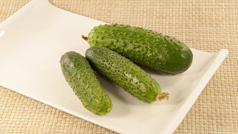 The best self-pollinated varieties of cucumbers for greenhouses in the Urals