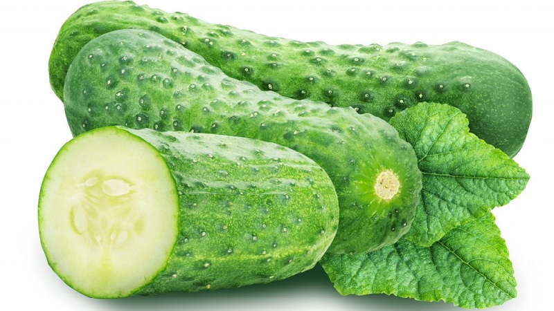 The best self-pollinated cucumber varieties for pickling and canning