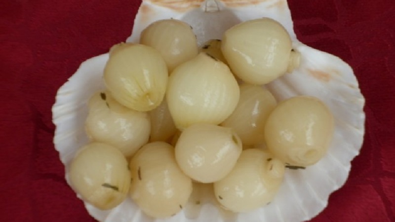 The best tips on how to prepare onions for the winter