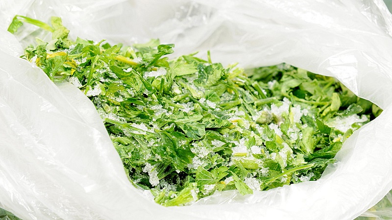 The best ways to harvest parsley for the winter in dry, frozen and canned form