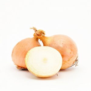 High-yielding onion hybrid for long-term storage Corrado