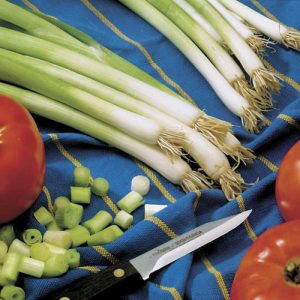High-yielding onion with amazing flavor Parade