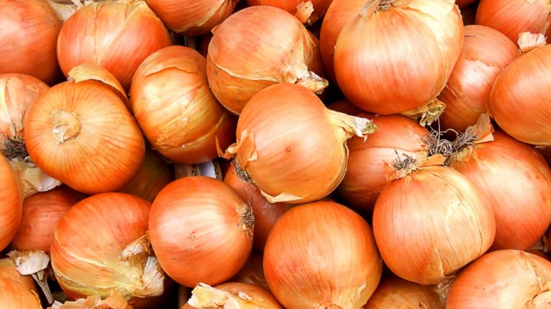 An early ripe winter hybrid of Troy onions with a moderately spicy taste