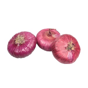 One of the most delicious onion varieties: Yalta
