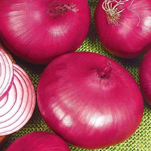 One of the most delicious onion varieties: Yalta