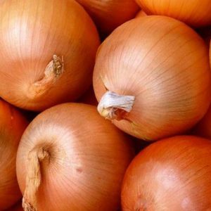 Unpretentious hybrid of domestically produced onions Golden Semko