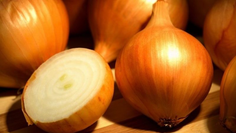 Unpretentious hybrid of domestically produced onions Golden Semko