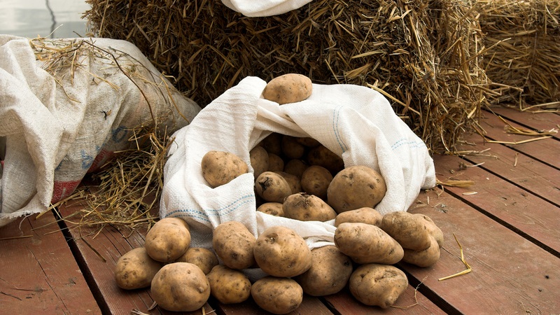 Home storage methods for potatoes