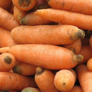 Unpretentious variety of carrots Vitamin 6
