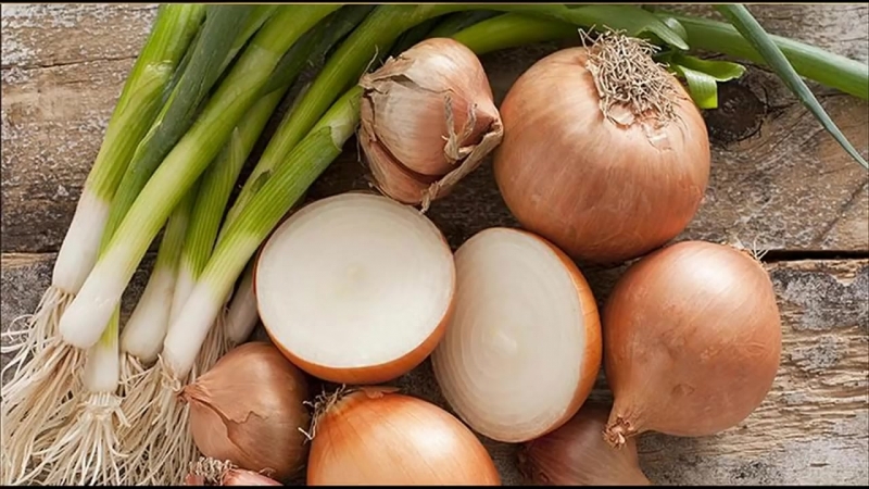 Can an onion allergy appear, how does it manifest and what to do