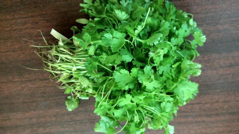 Is it possible to eat parsley during pregnancy