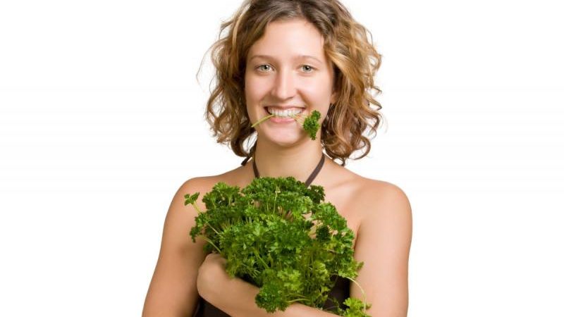 Parsley - description, cultivation, photo