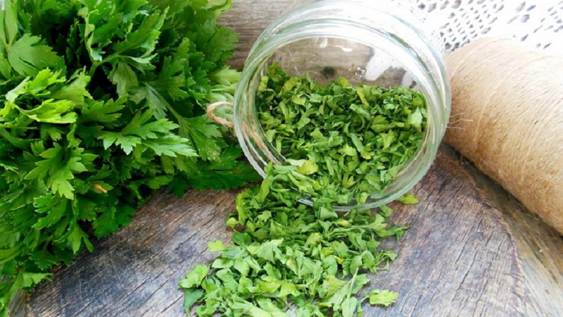 Is it possible to eat parsley during pregnancy