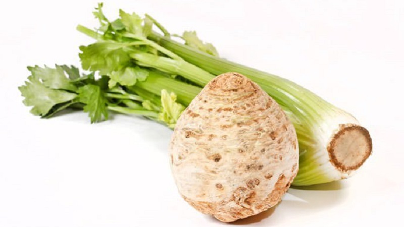 Can you eat celery while breastfeeding?