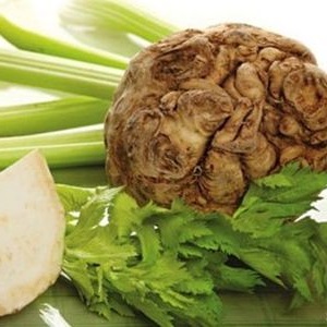 Can you eat celery while breastfeeding?