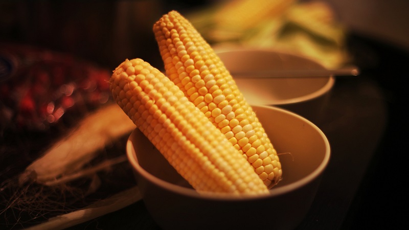 Is it possible to eat boiled corn while losing weight: calories, benefits and harms in the fight against extra pounds