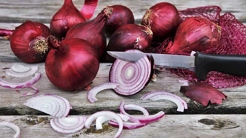 Simple and effective folk methods of onion treatment for various diseases
