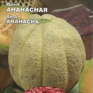 Description and characteristics of melon crossed with pineapple: what does the mini fruit taste like
