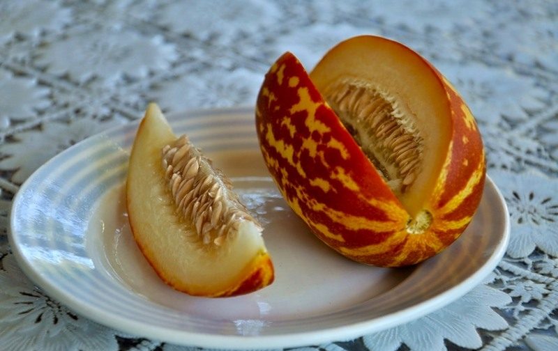 Description and characteristics of melon crossed with pineapple: what does the mini fruit taste like