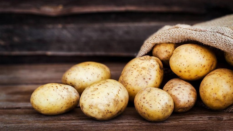 Features of storing potatoes: at what temperature does it freeze