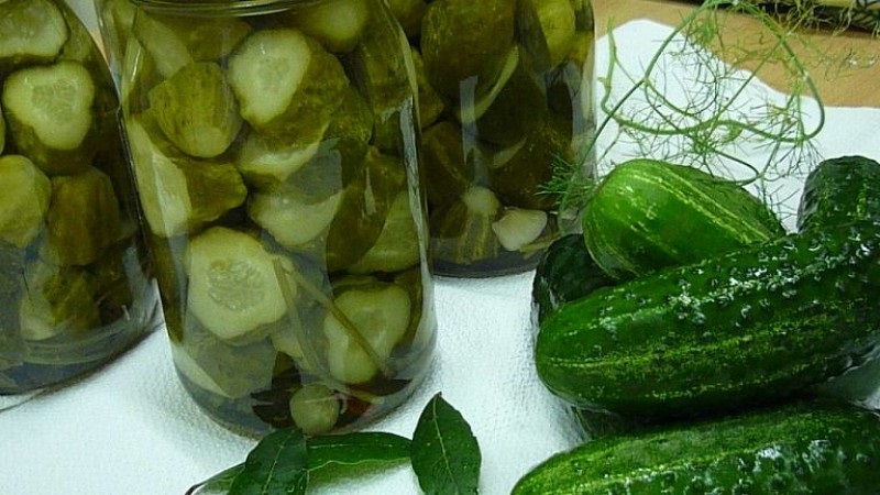 Features of pickling large cucumbers