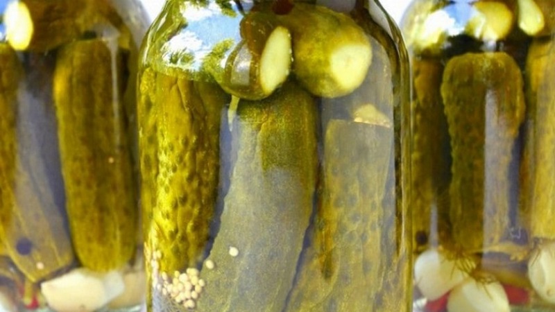 Features of pickling large cucumbers